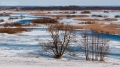 025_Biebrza - marzec 2013